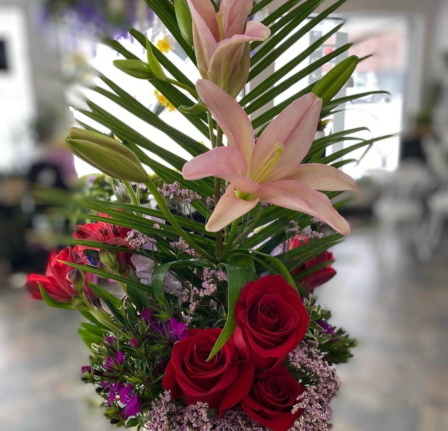 Roses and Palm