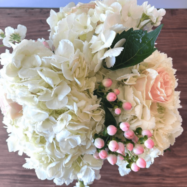 hydrangeas-dressed-in-pink-top-image-flowers-r-us-winnipeg-flower-shop