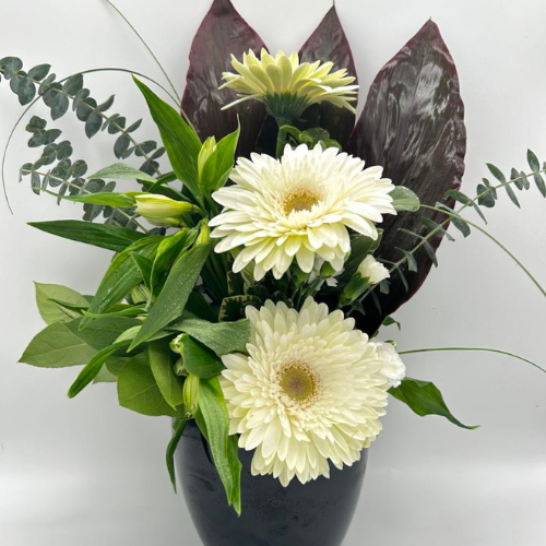 Gerbera-trio-bouquet-winnipeg-flower-shop
