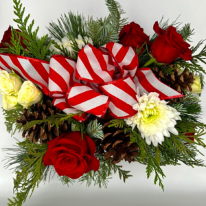 Candy-Cane-Lane-Flowers-R-Us-Christmas-Winnipeg-Flower-Shop